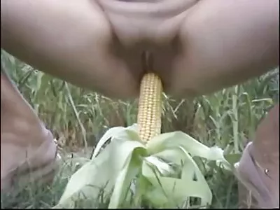 书呆子男女知道如何进行脱衣舞和服务公鸡