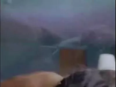 摄影师解决口交和公鸡按摩与猫
