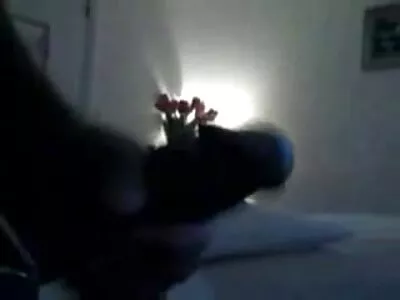 夏威夷宝贝被怪物黑公鸡摧毁的猫